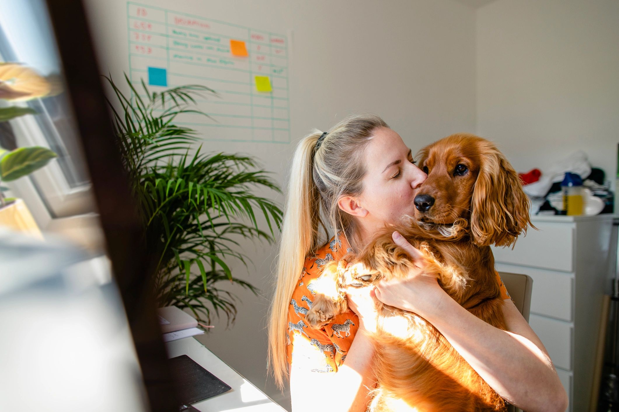 Woman holding a dog closely in a caring home environment