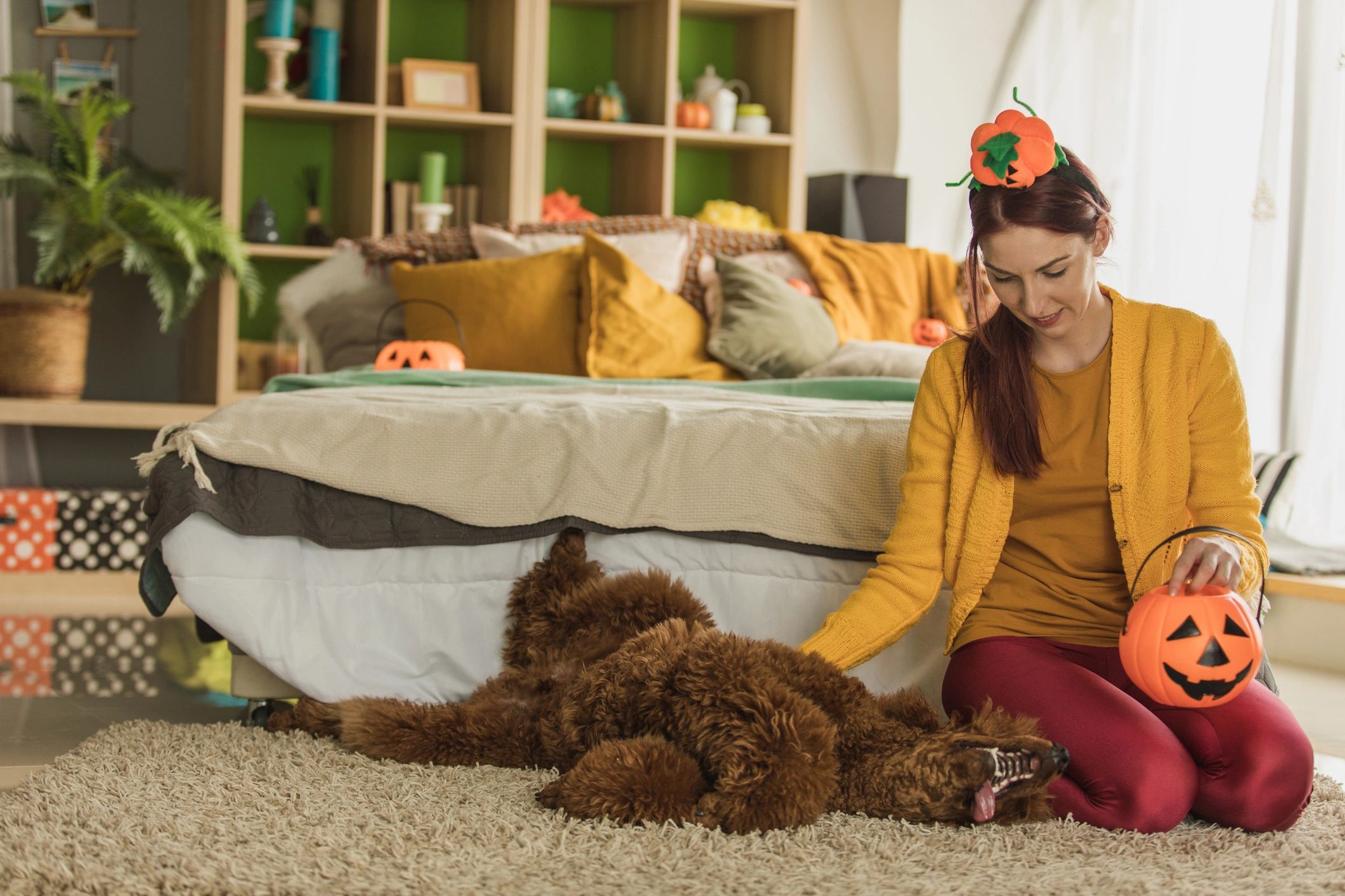 Woman kneeling with a happy dog in a bedroom