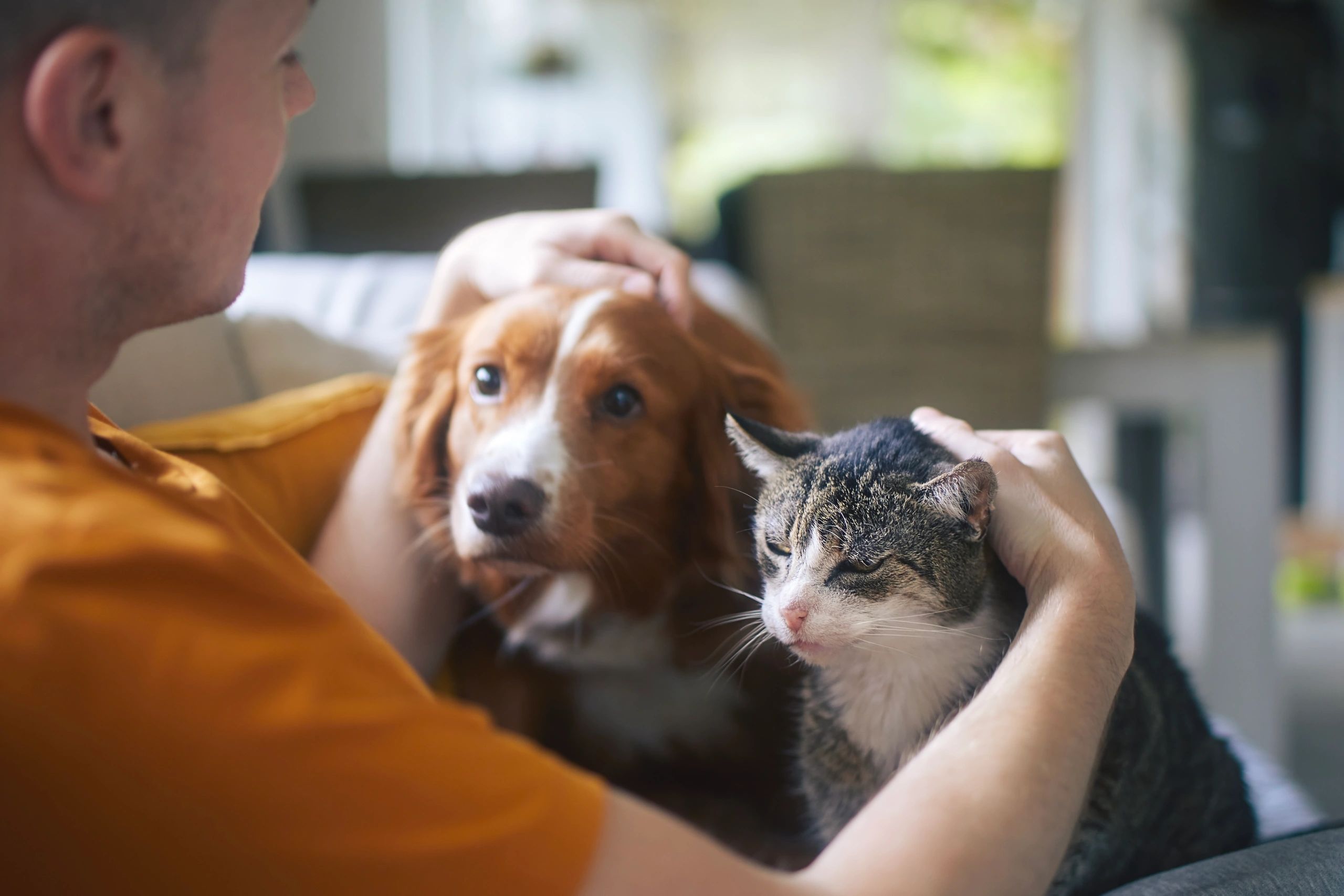 Pet owner relaxing with a dog and cat at home