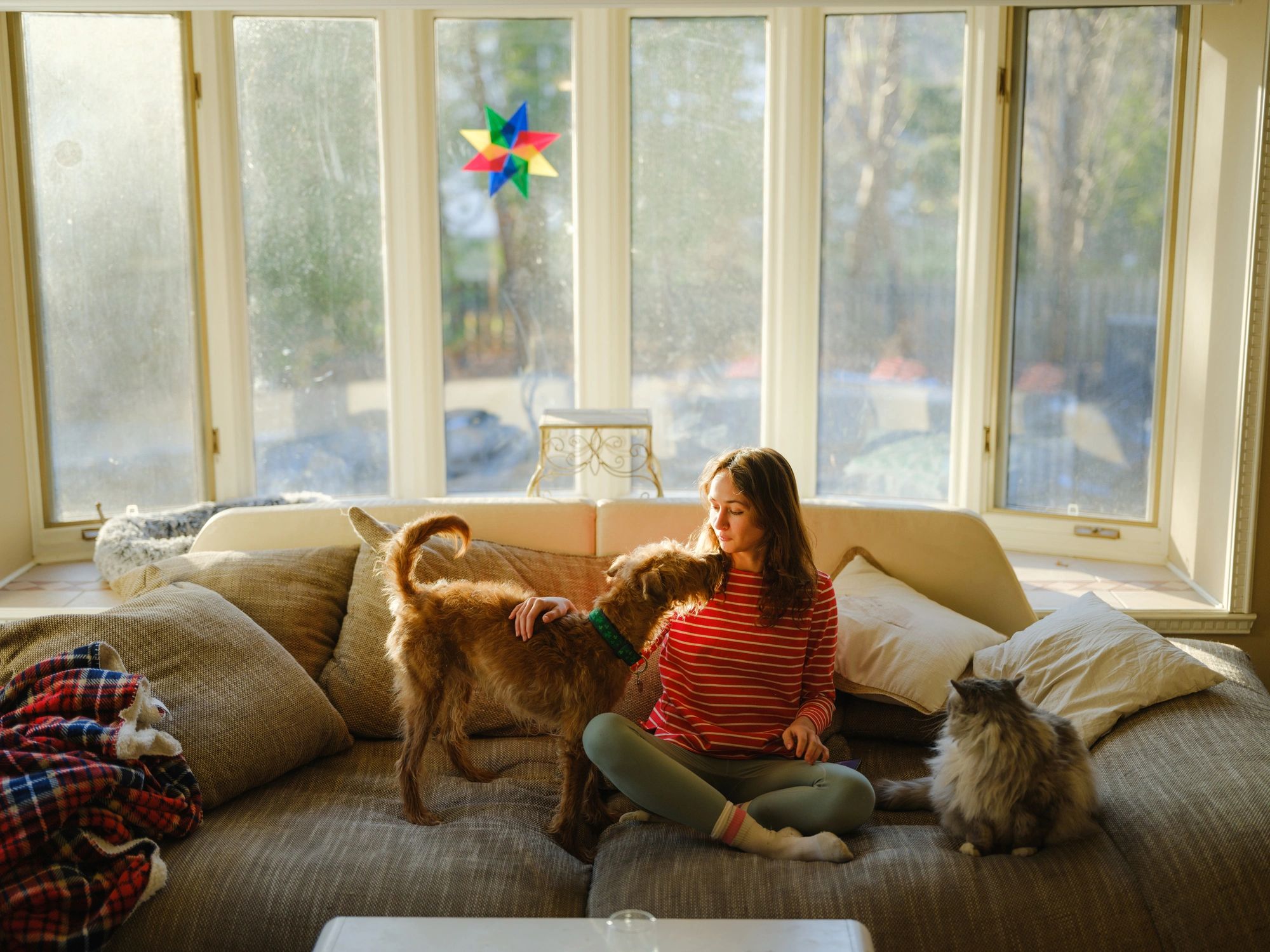 Pet sitter relaxing on a sofa with a dog and cat in a cozy home